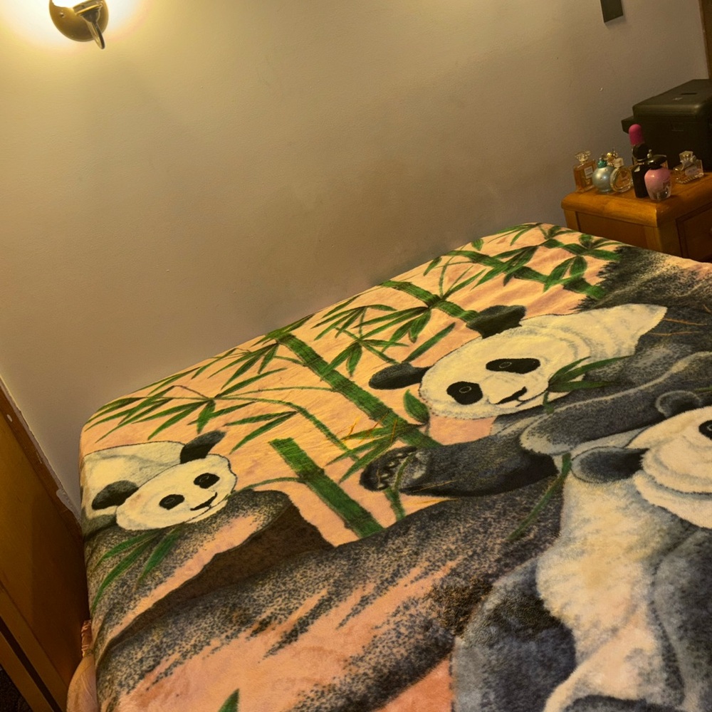 Panda Blanket🪝